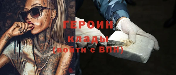 ГАЛЛЮЦИНОГЕННЫЕ ГРИБЫ Дмитриев