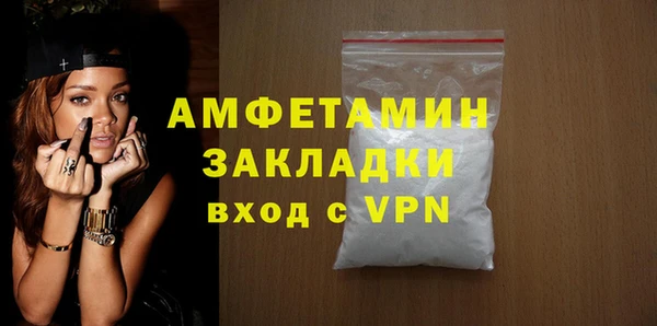 ГАЛЛЮЦИНОГЕННЫЕ ГРИБЫ Дмитриев