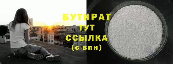 ГАЛЛЮЦИНОГЕННЫЕ ГРИБЫ Дмитриев