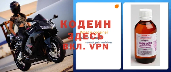 ГАЛЛЮЦИНОГЕННЫЕ ГРИБЫ Дмитриев
