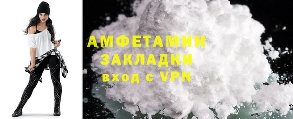 ГАЛЛЮЦИНОГЕННЫЕ ГРИБЫ Дмитриев