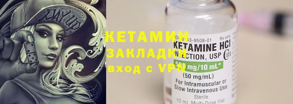 ГАЛЛЮЦИНОГЕННЫЕ ГРИБЫ Дмитриев