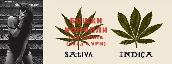 ГАЛЛЮЦИНОГЕННЫЕ ГРИБЫ Дмитриев