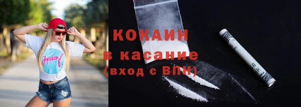 ГАЛЛЮЦИНОГЕННЫЕ ГРИБЫ Дмитриев
