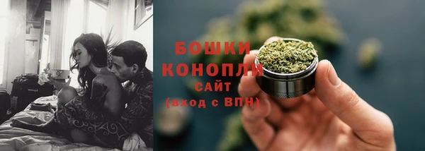 ГАЛЛЮЦИНОГЕННЫЕ ГРИБЫ Дмитриев