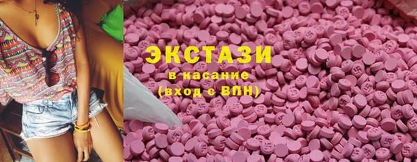 ГАЛЛЮЦИНОГЕННЫЕ ГРИБЫ Дмитриев