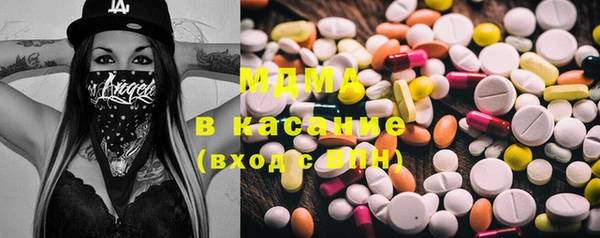 ГАЛЛЮЦИНОГЕННЫЕ ГРИБЫ Дмитриев