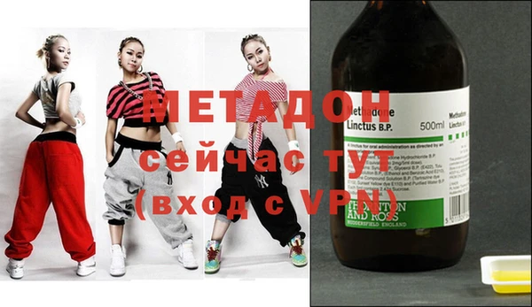 ГАЛЛЮЦИНОГЕННЫЕ ГРИБЫ Дмитриев