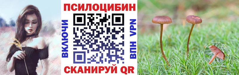 Галлюциногенные грибы Magic Shrooms  купить   Энгельс 